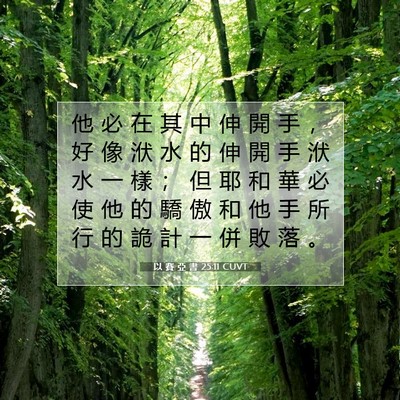 Picture 07 - 以 賽 亞 書 25:11 CUVT - 他 必 在 其 中 伸 開 手 ， 好 像 洑 - Bible Verse Picture