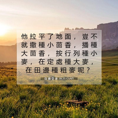 Picture 07 - 以 賽 亞 書 28:25 CUVT - 他 拉 平 了 地 面 ， 豈 不 就 撒 種 - Bible Verse Picture