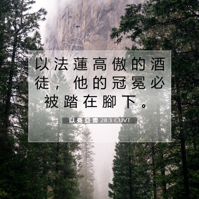 Picture 07 - 以 賽 亞 書 28:3 CUVT - 以 法 蓮 高 傲 的 酒 徒 ， 他 的 冠 - Bible Verse Picture