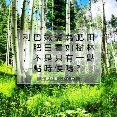 Picture 07 - 以 賽 亞 書 29:17 CUVT - 利 巴 嫩 變 為 肥 田 ， 肥 田 看 如 - Bible Verse Picture