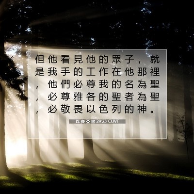 Picture 07 - 以 賽 亞 書 29:23 CUVT - 但 他 看 見 他 的 眾 子 ， 就 是 我 - Bible Verse Picture