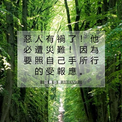 Picture 07 - 以 賽 亞 書 3:11 CUVT - 惡 人 有 禍 了 ！ 他 必 遭 災 難 ！ - Bible Verse Picture
