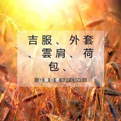 Picture 07 - 以 賽 亞 書 3:22 CUVT - 吉 服 、 外 套 、 雲 肩 、 荷 包 - Bible Verse Picture