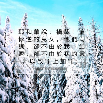 Picture 07 - 以 賽 亞 書 30:1 CUVT - 耶 和 華 說 ： 禍 哉 ！ 這 悖 逆 的 - Bible Verse Picture