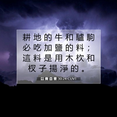 Picture 07 - 以 賽 亞 書 30:24 CUVT - 耕 地 的 牛 和 驢 駒 必 吃 加 鹽 的 - Bible Verse Picture