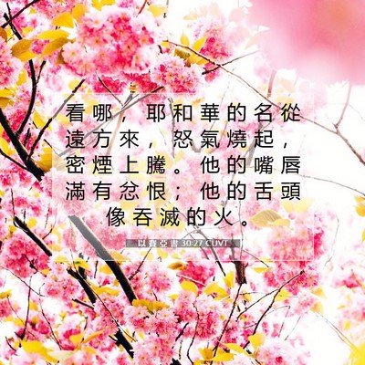 Picture 07 - 以 賽 亞 書 30:27 CUVT - 看 哪 ， 耶 和 華 的 名 從 遠 方 來 - Bible Verse Picture