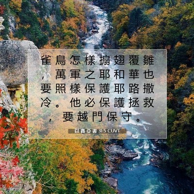 Picture 07 - 以 賽 亞 書 31:5 CUVT - 雀 鳥 怎 樣 搧 翅 覆 雛 ， 萬 軍 之 - Bible Verse Picture