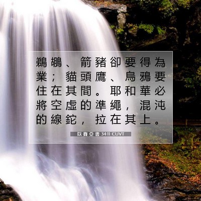 Picture 07 - 以 賽 亞 書 34:11 CUVT - 鵜 鶘 、 箭 豬 卻 要 得 為 業 ； 貓 - Bible Verse Picture