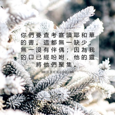 Picture 07 - 以 賽 亞 書 34:16 CUVT - 你 們 要 查 考 宣 讀 耶 和 華 的 書 - Bible Verse Picture