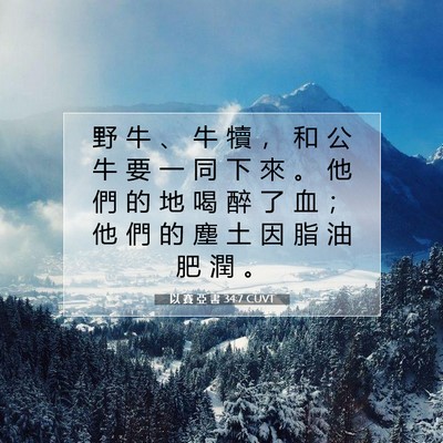 Picture 07 - 以 賽 亞 書 34:7 CUVT - 野 牛 、 牛 犢 ， 和 公 牛 要 一 同 - Bible Verse Picture