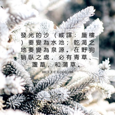 Picture 07 - 以 賽 亞 書 35:7 CUVT - 發 光 的 沙 （ 或 譯 ： 蜃 樓 ） 要 - Bible Verse Picture