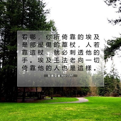 Picture 07 - 以 賽 亞 書 36:6 CUVT - 看 哪 ， 你 所 倚 靠 的 埃 及 是 那 - Bible Verse Picture