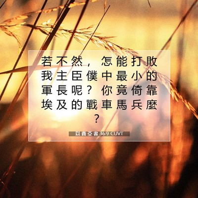 Picture 07 - 以 賽 亞 書 36:9 CUVT - 若 不 然 ， 怎 能 打 敗 我 主 臣 僕 - Bible Verse Picture