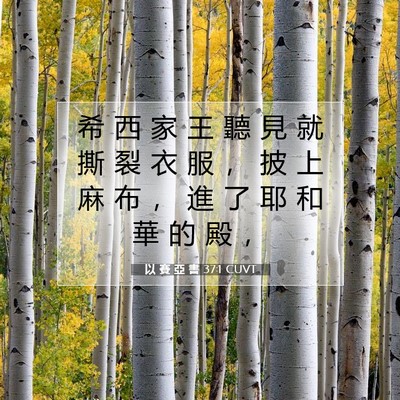 Picture 07 - 以 賽 亞 書 37:1 CUVT - 希 西 家 王 聽 見 就 撕 裂 衣 服 ， - Bible Verse Picture