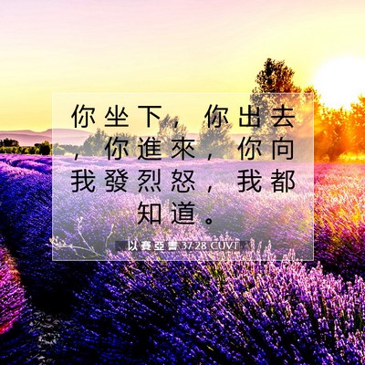 Picture 07 - 以 賽 亞 書 37:28 CUVT - 你 坐 下 ， 你 出 去 ， 你 進 來 ， - Bible Verse Picture