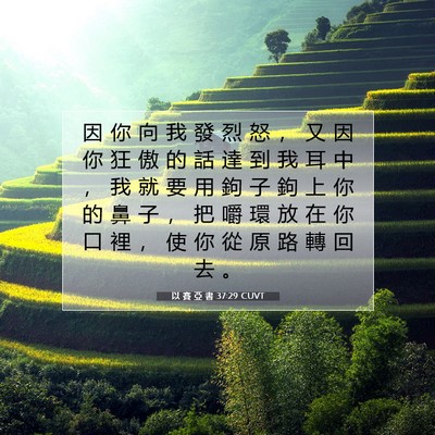 Picture 07 - 以 賽 亞 書 37:29 CUVT - 因 你 向 我 發 烈 怒 ， 又 因 你 狂 - Bible Verse Picture
