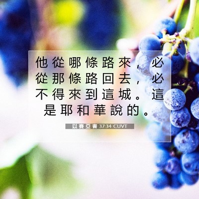 Picture 07 - 以 賽 亞 書 37:34 CUVT - 他 從 哪 條 路 來 ， 必 從 那 條 路 - Bible Verse Picture