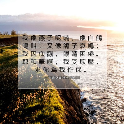 Picture 07 - 以 賽 亞 書 38:14 CUVT - 我 像 燕 子 呢 喃 ， 像 白 鶴 鳴 叫 - Bible Verse Picture