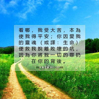 Picture 07 - 以 賽 亞 書 38:17 CUVT - 看 哪 ， 我 受 大 苦 ， 本 為 使 我 - Bible Verse Picture