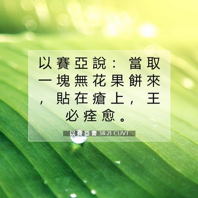 Picture 07 - 以 賽 亞 書 38:21 CUVT - 以 賽 亞 說 ： 當 取 一 塊 無 花 果 - Bible Verse Picture
