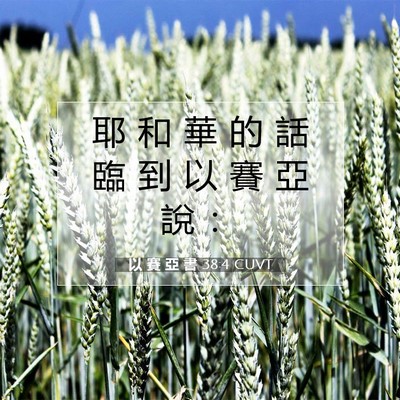 Picture 07 - 以 賽 亞 書 38:4 CUVT - 耶 和 華 的 話 臨 到 以 賽 亞 說 - Bible Verse Picture
