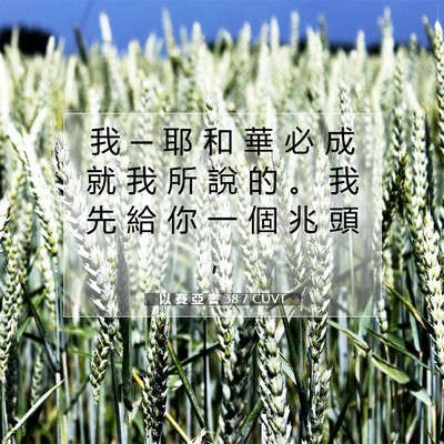 Picture 07 - 以 賽 亞 書 38:7 CUVT - 我 ─ 耶 和 華 必 成 就 我 所 說 的 - Bible Verse Picture