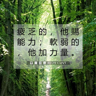 Picture 07 - 以 賽 亞 書 40:29 CUVT - 疲 乏 的 ， 他 賜 能 力 ； 軟 弱 的 - Bible Verse Picture