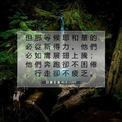 Picture 07 - 以 賽 亞 書 40:31 CUVT - 但 那 等 候 耶 和 華 的 必 從 新 得 - Bible Verse Picture