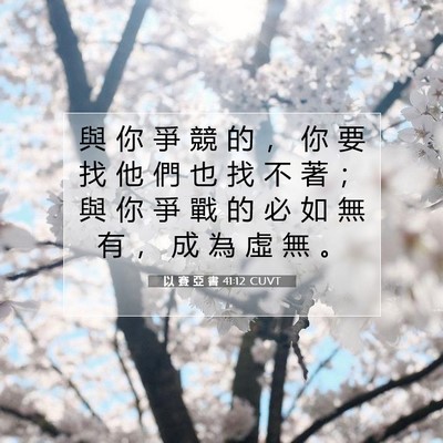 Picture 07 - 以 賽 亞 書 41:12 CUVT - 與 你 爭 競 的 ， 你 要 找 他 們 也 - Bible Verse Picture