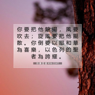 Picture 07 - 以 賽 亞 書 41:16 CUVT - 你 要 把 他 簸 揚 ， 風 要 吹 去 ； - Bible Verse Picture