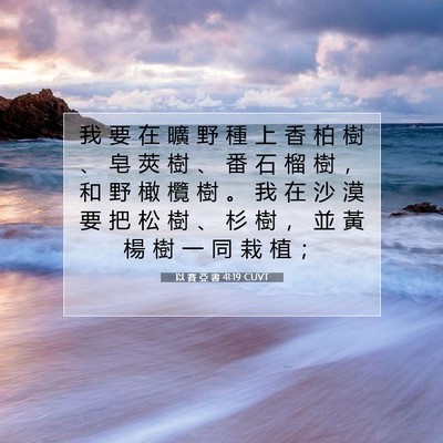Picture 07 - 以 賽 亞 書 41:19 CUVT - 我 要 在 曠 野 種 上 香 柏 樹 、 皂 - Bible Verse Picture