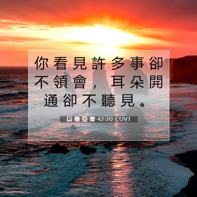 Picture 07 - 以 賽 亞 書 42:20 CUVT - 你 看 見 許 多 事 卻 不 領 會 ， 耳 - Bible Verse Picture