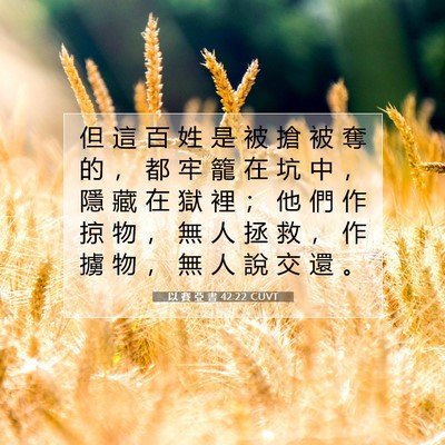 Picture 07 - 以 賽 亞 書 42:22 CUVT - 但 這 百 姓 是 被 搶 被 奪 的 ， 都 - Bible Verse Picture