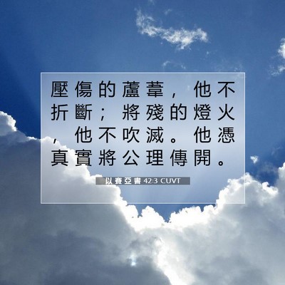 Picture 07 - 以 賽 亞 書 42:3 CUVT - 壓 傷 的 蘆 葦 ， 他 不 折 斷 ； 將 - Bible Verse Picture