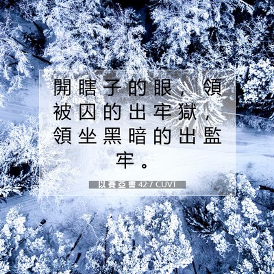 Picture 07 - 以 賽 亞 書 42:7 CUVT - 開 瞎 子 的 眼 ， 領 被 囚 的 出 牢 - Bible Verse Picture
