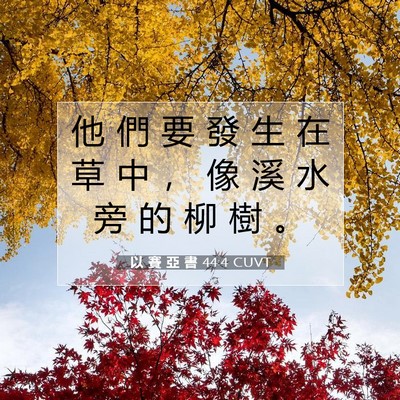 Picture 07 - 以 賽 亞 書 44:4 CUVT - 他 們 要 發 生 在 草 中 ， 像 溪 水 - Bible Verse Picture