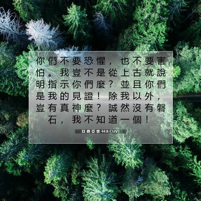 Picture 07 - 以 賽 亞 書 44:8 CUVT - 你 們 不 要 恐 懼 ， 也 不 要 害 怕 - Bible Verse Picture