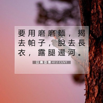 Picture 07 - 以 賽 亞 書 47:2 CUVT - 要 用 磨 磨 麵 ， 揭 去 帕 子 ， 脫 - Bible Verse Picture