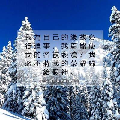 Picture 07 - 以 賽 亞 書 48:11 CUVT - 我 為 自 己 的 緣 故 必 行 這 事 ， - Bible Verse Picture