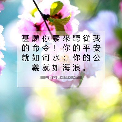 Picture 07 - 以 賽 亞 書 48:18 CUVT - 甚 願 你 素 來 聽 從 我 的 命 令 ！ - Bible Verse Picture