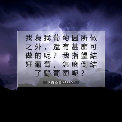 Picture 07 - 以 賽 亞 書 5:4 CUVT - 我 為 我 葡 萄 園 所 做 之 外 ， 還 - Bible Verse Picture