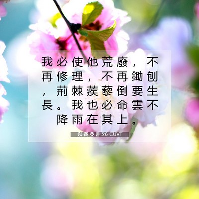 Picture 07 - 以 賽 亞 書 5:6 CUVT - 我 必 使 他 荒 廢 ， 不 再 修 理 ， - Bible Verse Picture