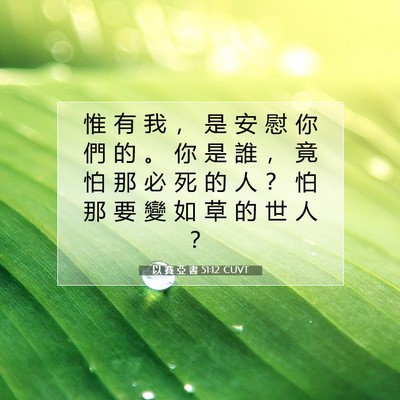 Picture 07 - 以 賽 亞 書 51:12 CUVT - 惟 有 我 ， 是 安 慰 你 們 的 。 你 - Bible Verse Picture