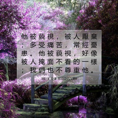 Picture 07 - 以 賽 亞 書 53:3 CUVT - 他 被 藐 視 ， 被 人 厭 棄 ； 多 受 - Bible Verse Picture