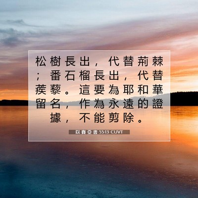 Picture 07 - 以 賽 亞 書 55:13 CUVT - 松 樹 長 出 ， 代 替 荊 棘 ； 番 石 - Bible Verse Picture