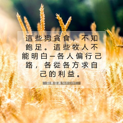 Picture 07 - 以 賽 亞 書 56:11 CUVT - 這 些 狗 貪 食 ， 不 知 飽 足 。 這 - Bible Verse Picture