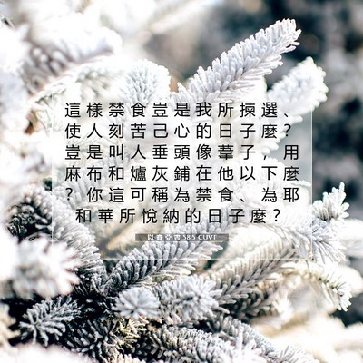 Picture 07 - 以 賽 亞 書 58:5 CUVT - 這 樣 禁 食 豈 是 我 所 揀 選 、 使 - Bible Verse Picture