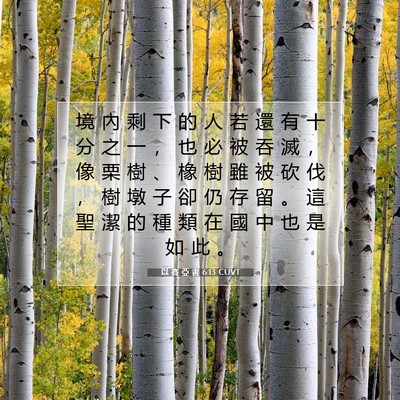 Picture 07 - 以 賽 亞 書 6:13 CUVT - 境 內 剩 下 的 人 若 還 有 十 分 之 - Bible Verse Picture