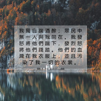 Picture 07 - 以 賽 亞 書 63:3 CUVT - 我 獨 自 踹 酒 醡 ； 眾 民 中 無 一 - Bible Verse Picture