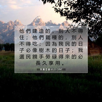 Picture 07 - 以 賽 亞 書 65:22 CUVT - 他 們 建 造 的 ， 別 人 不 得 住 ； - Bible Verse Picture